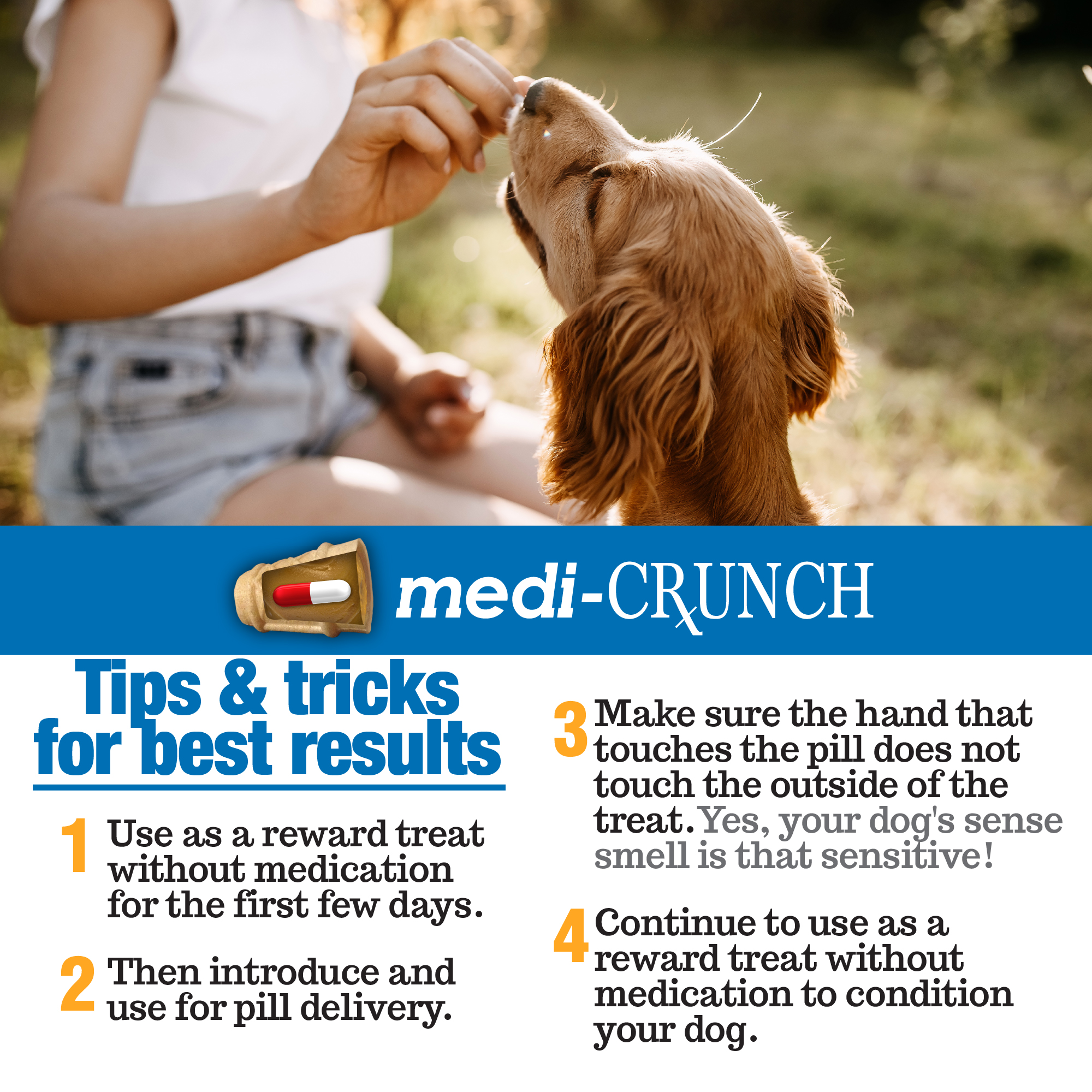 Pill Pouches for Dogs